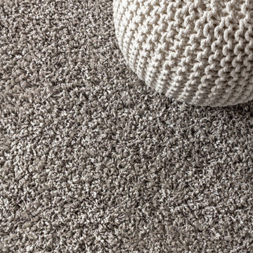 Mercer Shag Plush Tassel Area Rug